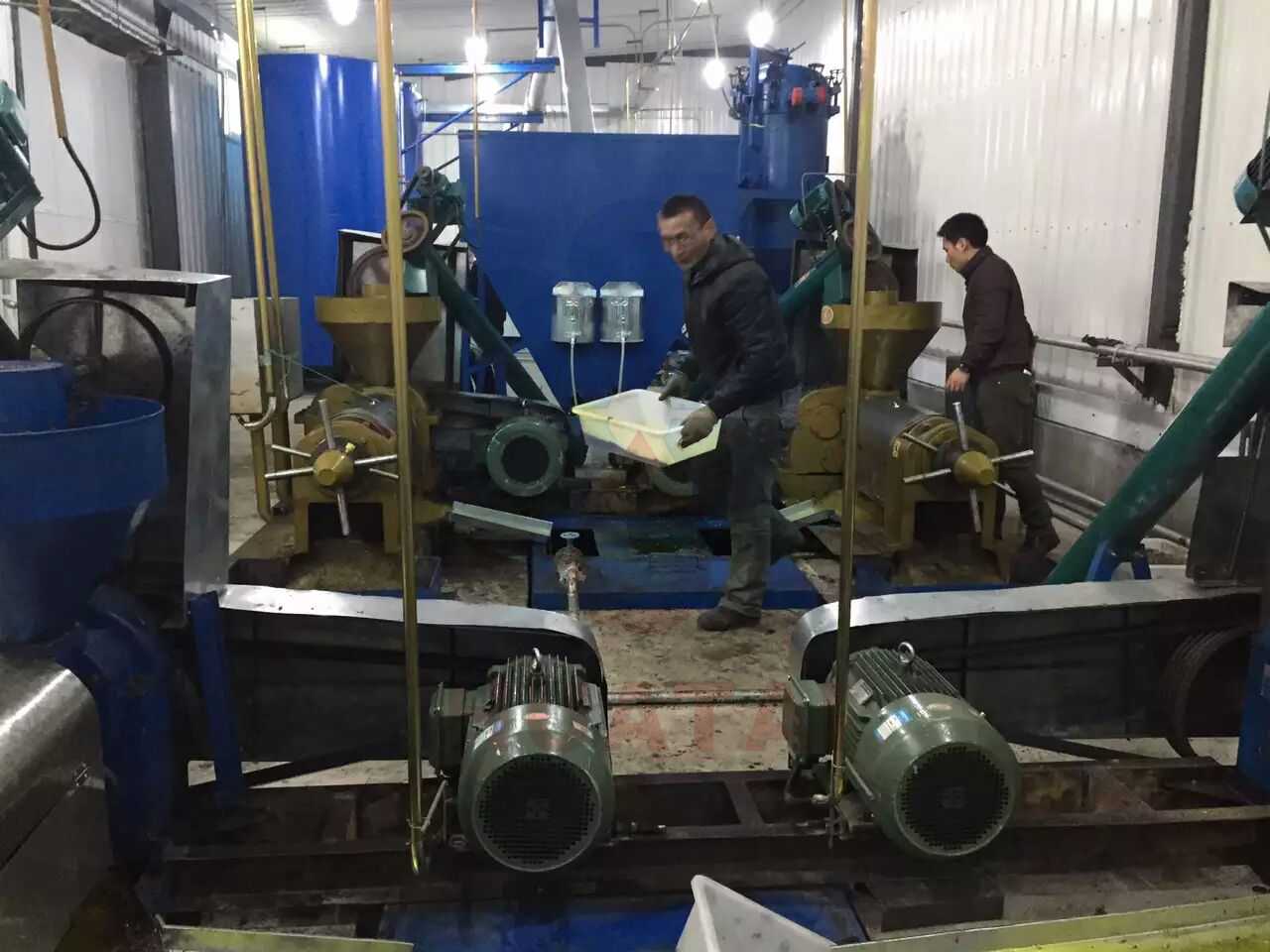 safflowerseed oil machine